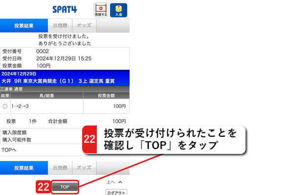 投票内容を確認し、投票して下さい